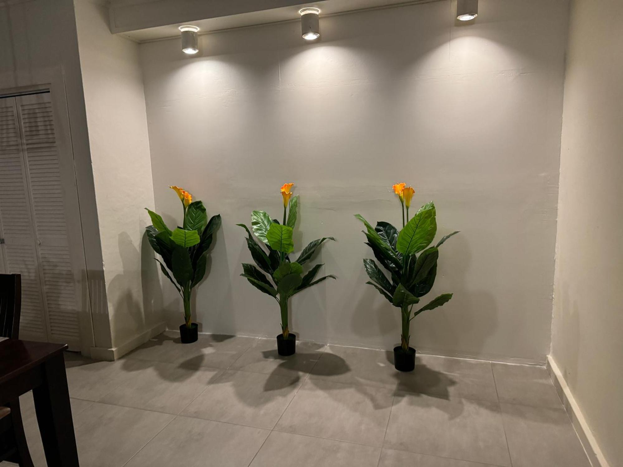 Villa Grand Jardin Jan Thiel Εξωτερικό φωτογραφία